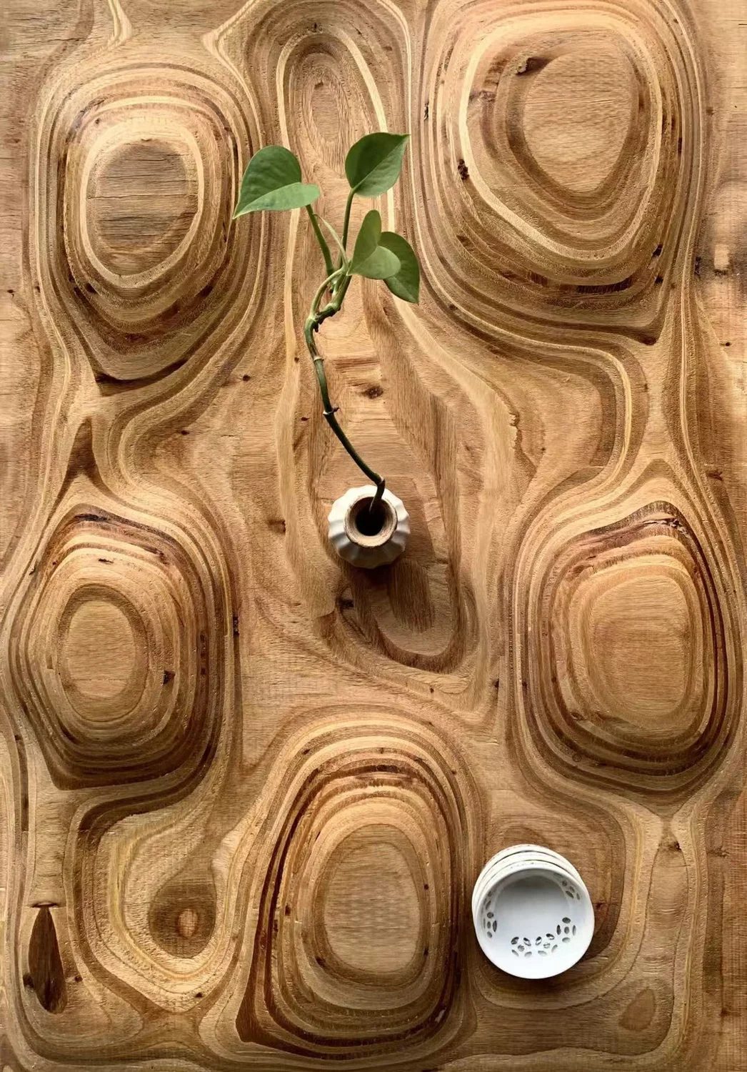 Carved Topography — relief-carved timber panel